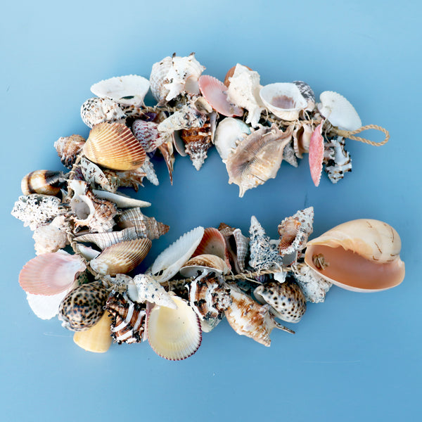 Assorted Colour Seashell Garland